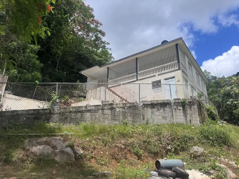 62.2 KM. CARR#1 BO PEDRO DAVILA, Cayey, PR 00736