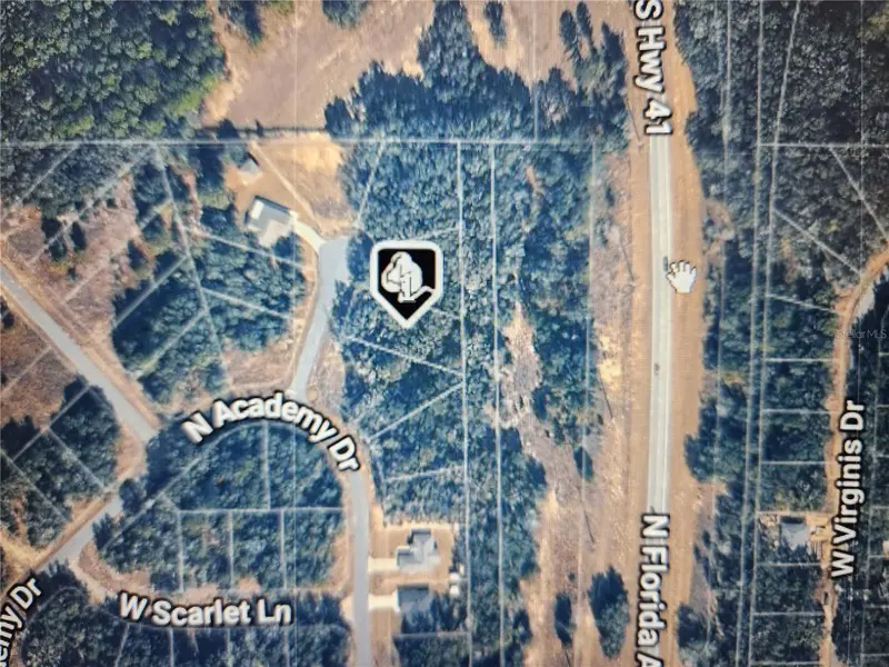 11197 N DENICE PT, Dunnellon, FL 34434