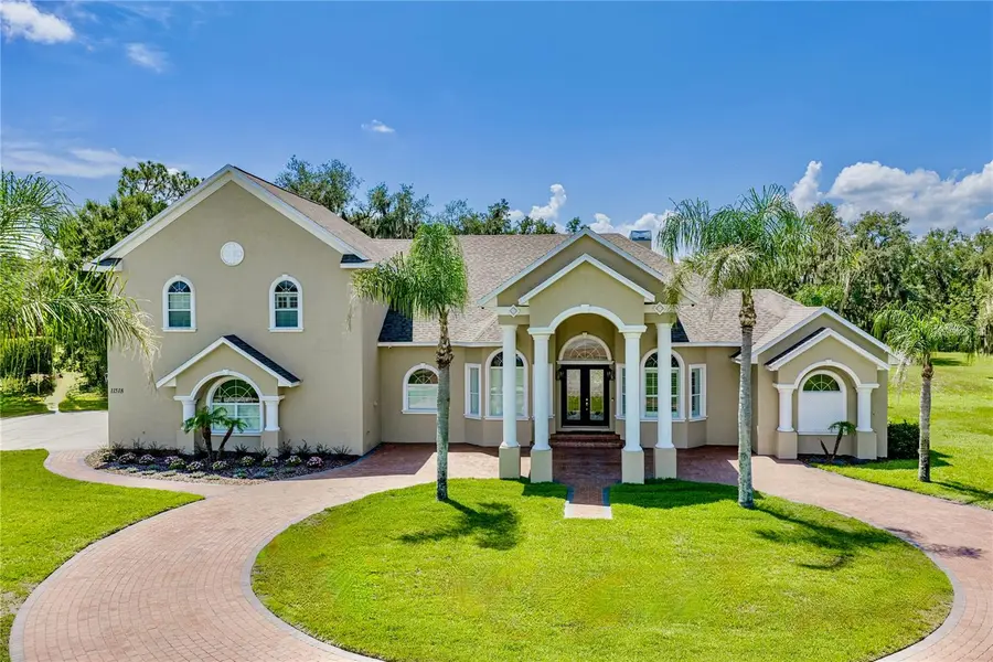 11518 HAMMOCK OAKS CT, Lithia, FL 33547