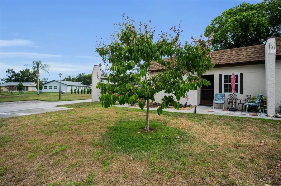 3097 MISSION GROVE DR, Palm Harbor, FL 34684