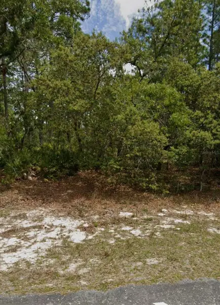 5732 N SUMMERFIELD PT, Dunnellon, FL 34434
