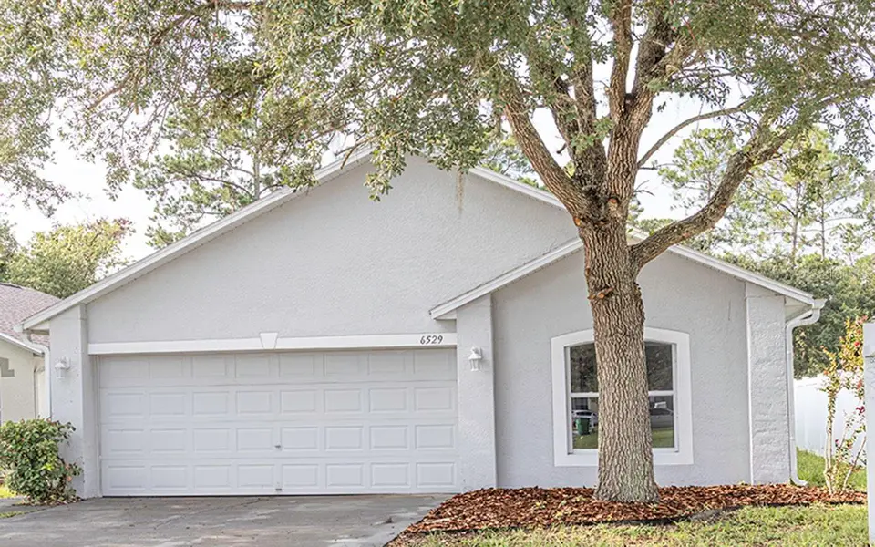 6529 TABOGI TRL, Wesley Chapel, FL 33545