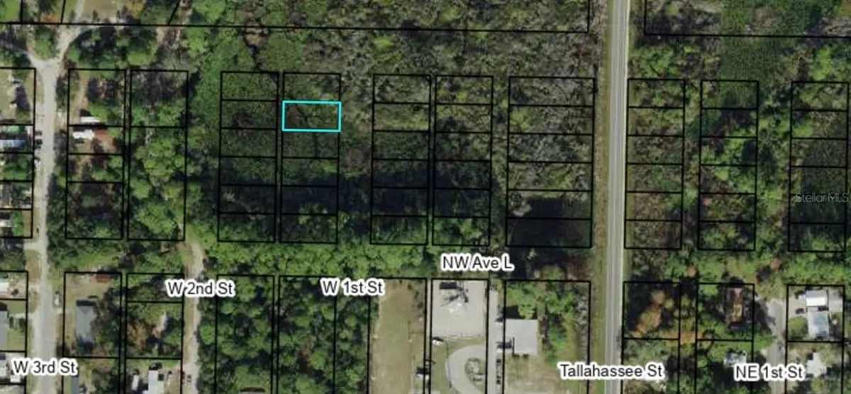 1309 W 1ST ST, Carrabelle, FL 32322
