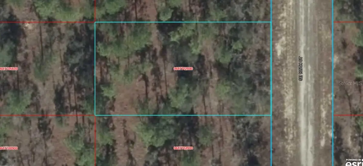06877-028-00 SE 135TH CT, Dunnellon, FL 34431