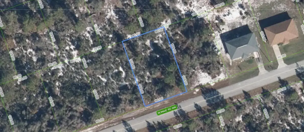117 BONNIE RD NW, Lake Placid, FL 33852