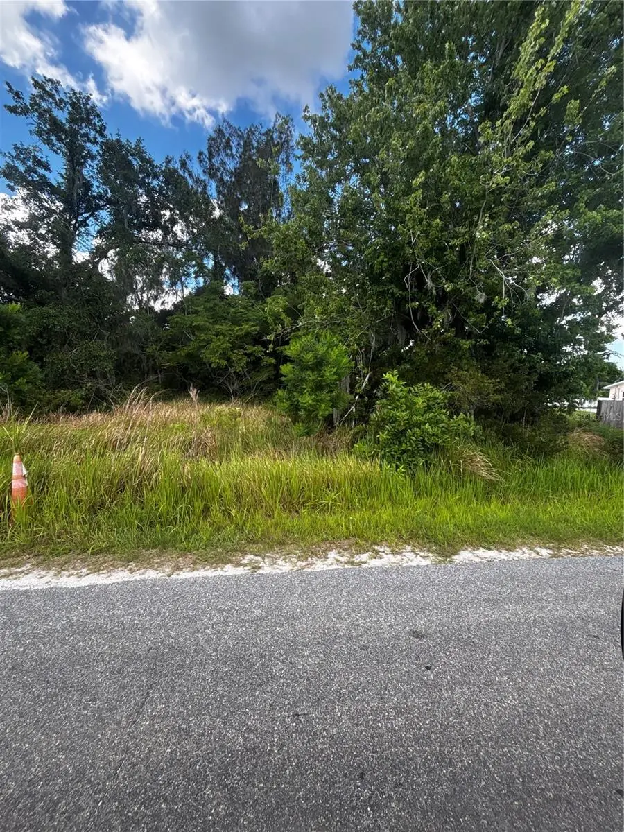 LEE ST, Bowling Green, FL 33834