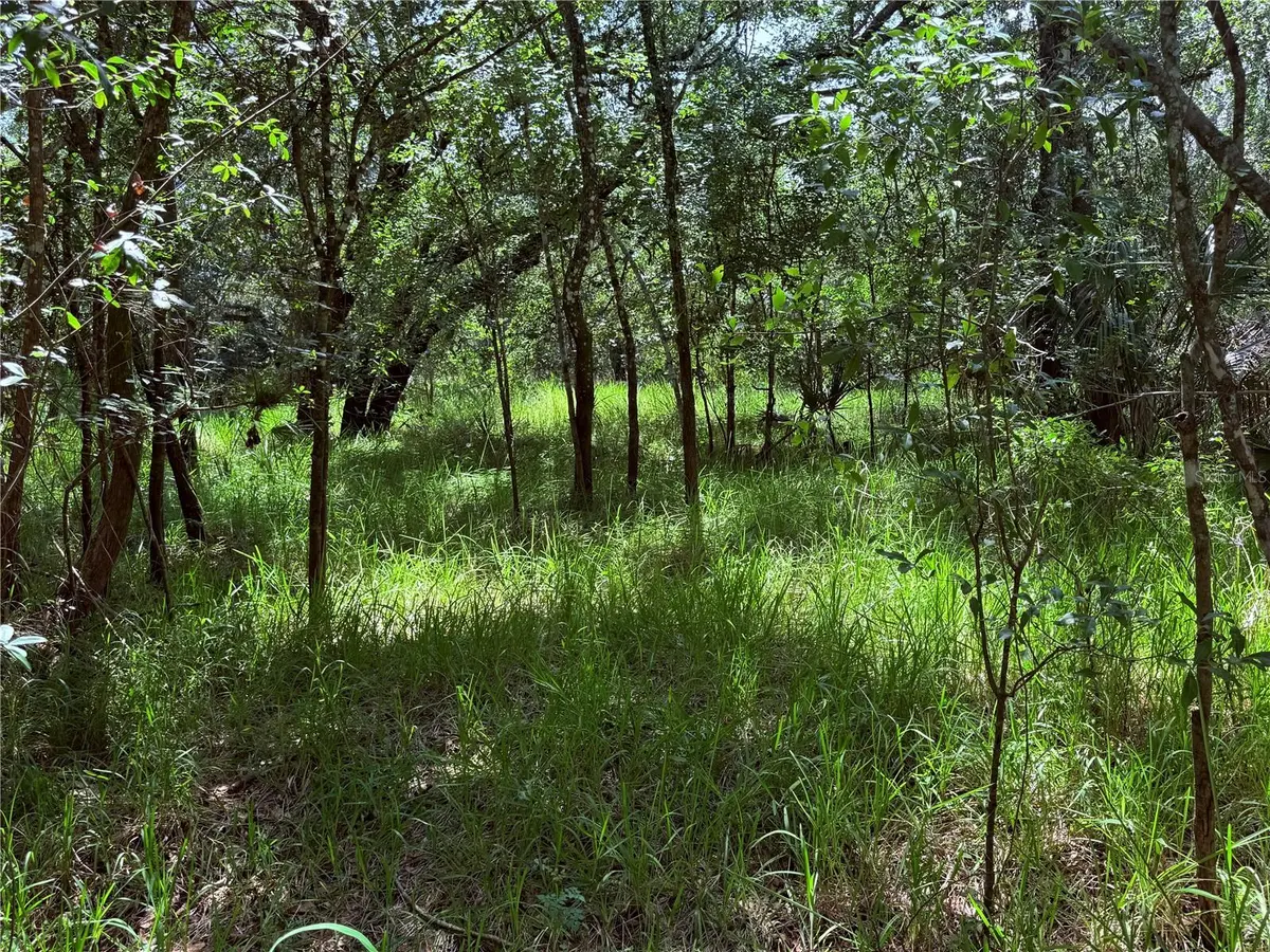 NE RIVER RIDGE AVE, Arcadia, FL 34266