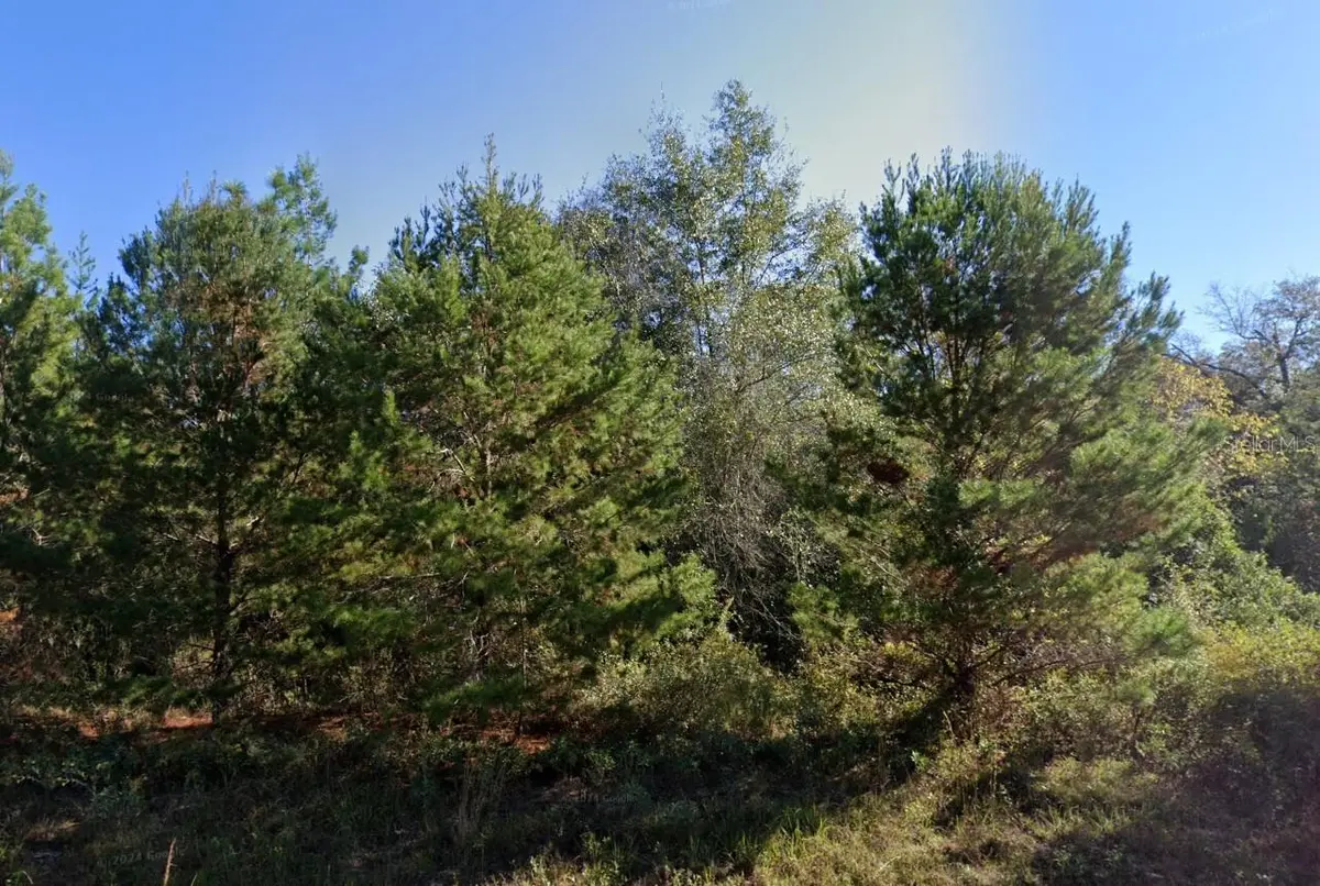 PARKVIEW LOT 13 DR, Chipley, FL 32428