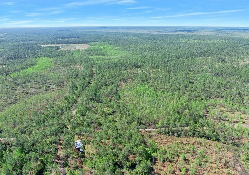 0 CARTER ST, Bunnell, FL 32110