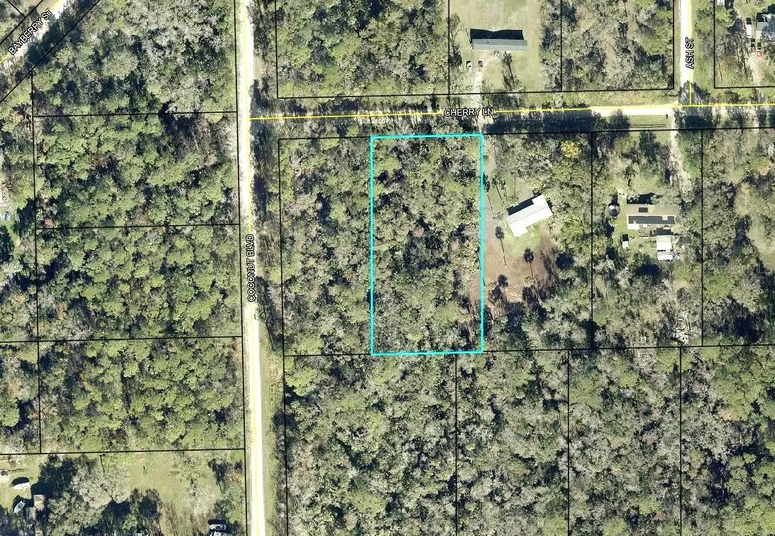 6413 CHERRY LN, Bunnell, FL 32110