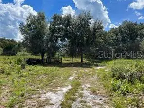 LAUREL OAK AVE, Mims, FL 32754