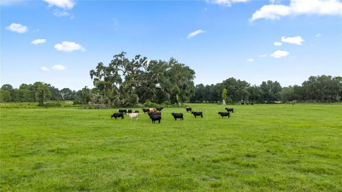 COUNTY ROAD 774, Webster, FL 33597