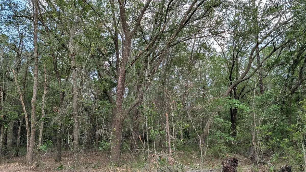 TBD NE 108TH PL, Waldo, FL 32694