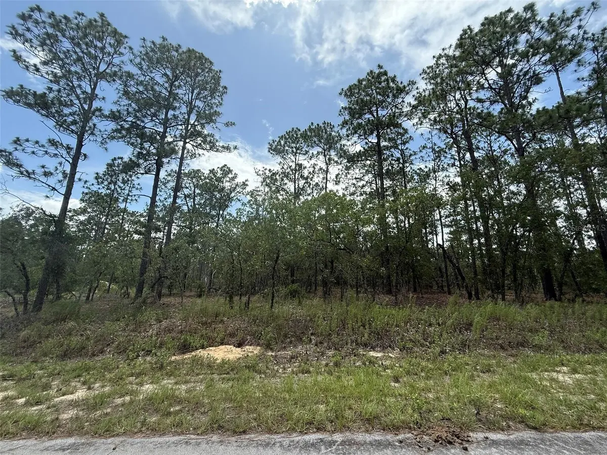 TBD TREE TOP RD, Dunnellon, FL 34431