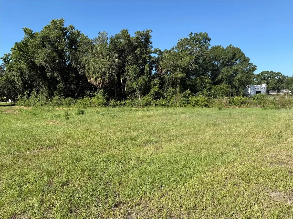 DOSSEY RD S, Lakeland, FL 33811