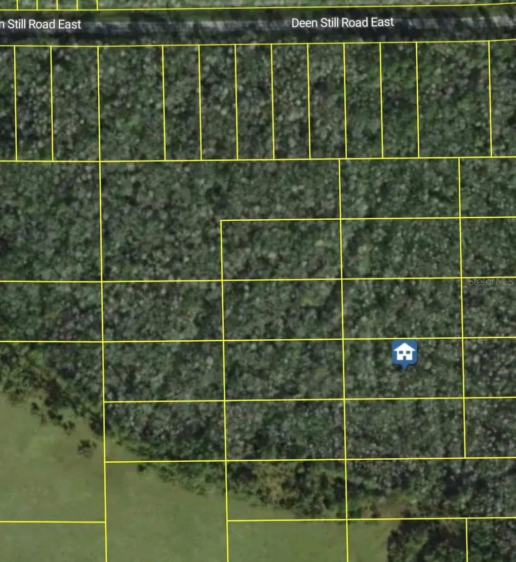 DEEN STILL RD E, Polk City, FL 33868