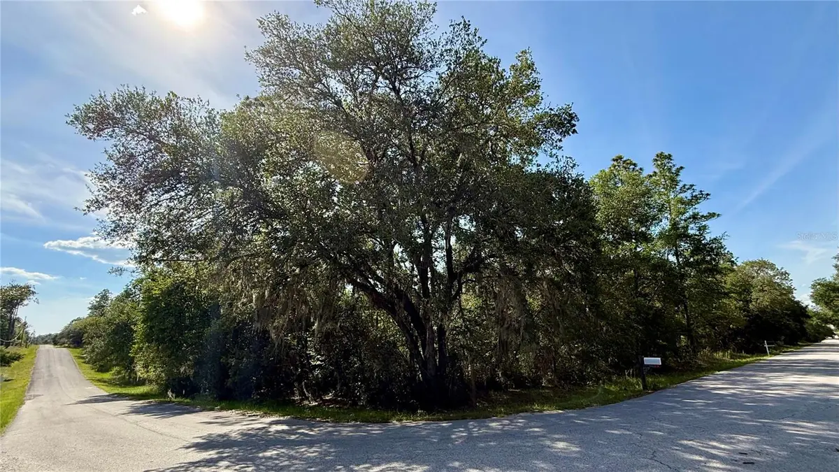 UNDETERMINED, Dunnellon, FL 34431