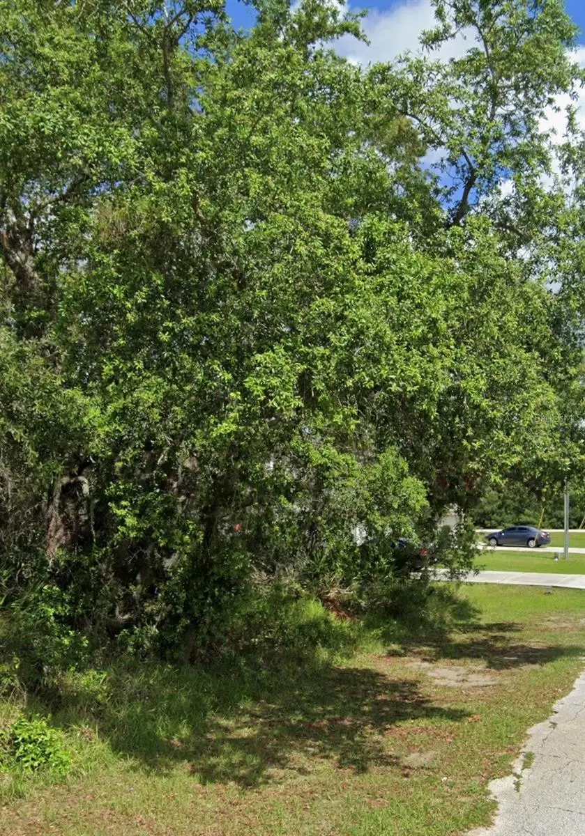 1504 ELOISE CT, Kissimmee, FL 34759