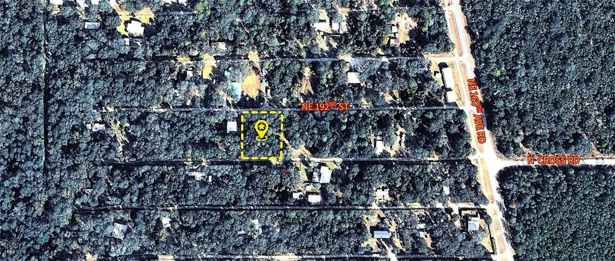 X NE 192ND ST, Fort Mc Coy, FL 32134