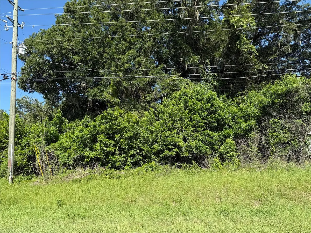 SE 35TH CT, Summerfield, FL 34491
