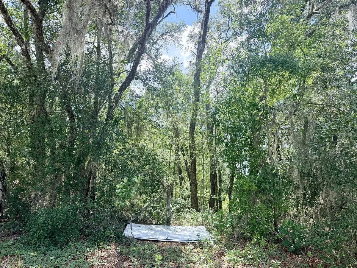 7932 N ELKCAM BLVD, Citrus Springs, FL 34433