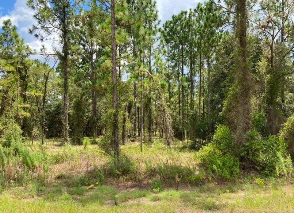 TBD SW NEPTUNE BLVD, Dunnellon, FL 34431