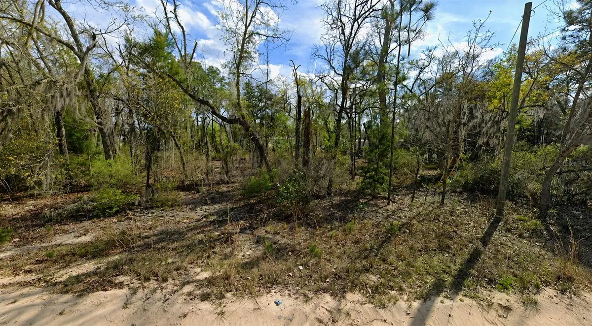 CLAUDIA ST, Interlachen, FL 32148