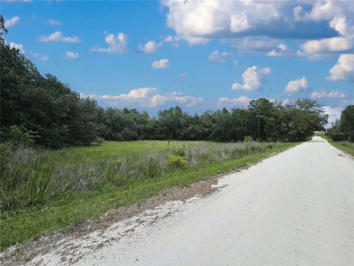 11751 SE 57TH ST, Morriston, FL 32668