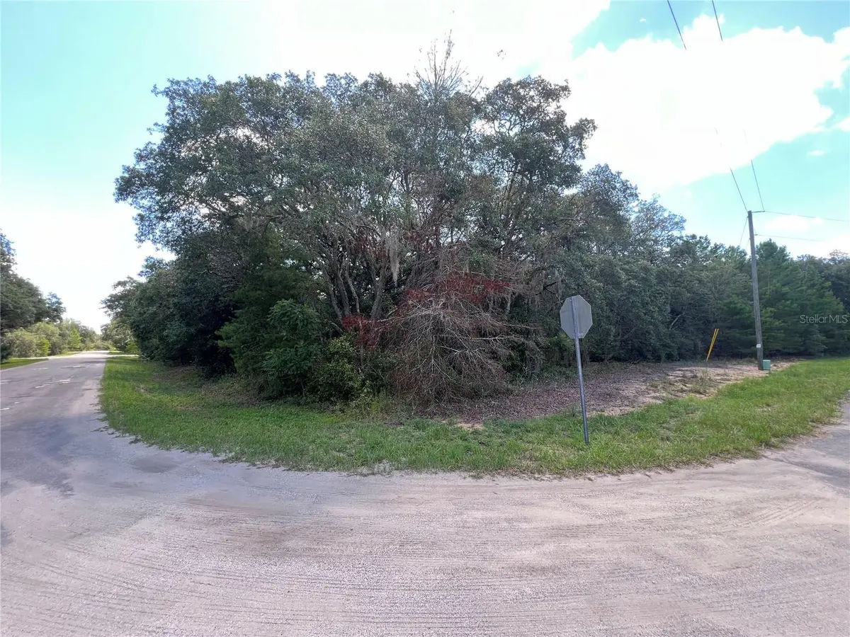 LOT 36 BLK1140 FISHER WAY TRAIL, Ocklawaha, FL 32179