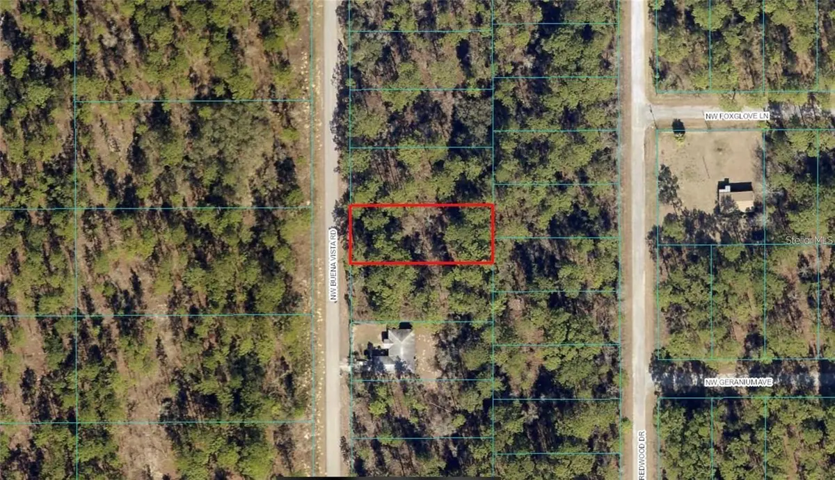 00 SW BUENA VISTA RD, Dunnellon, FL 34431