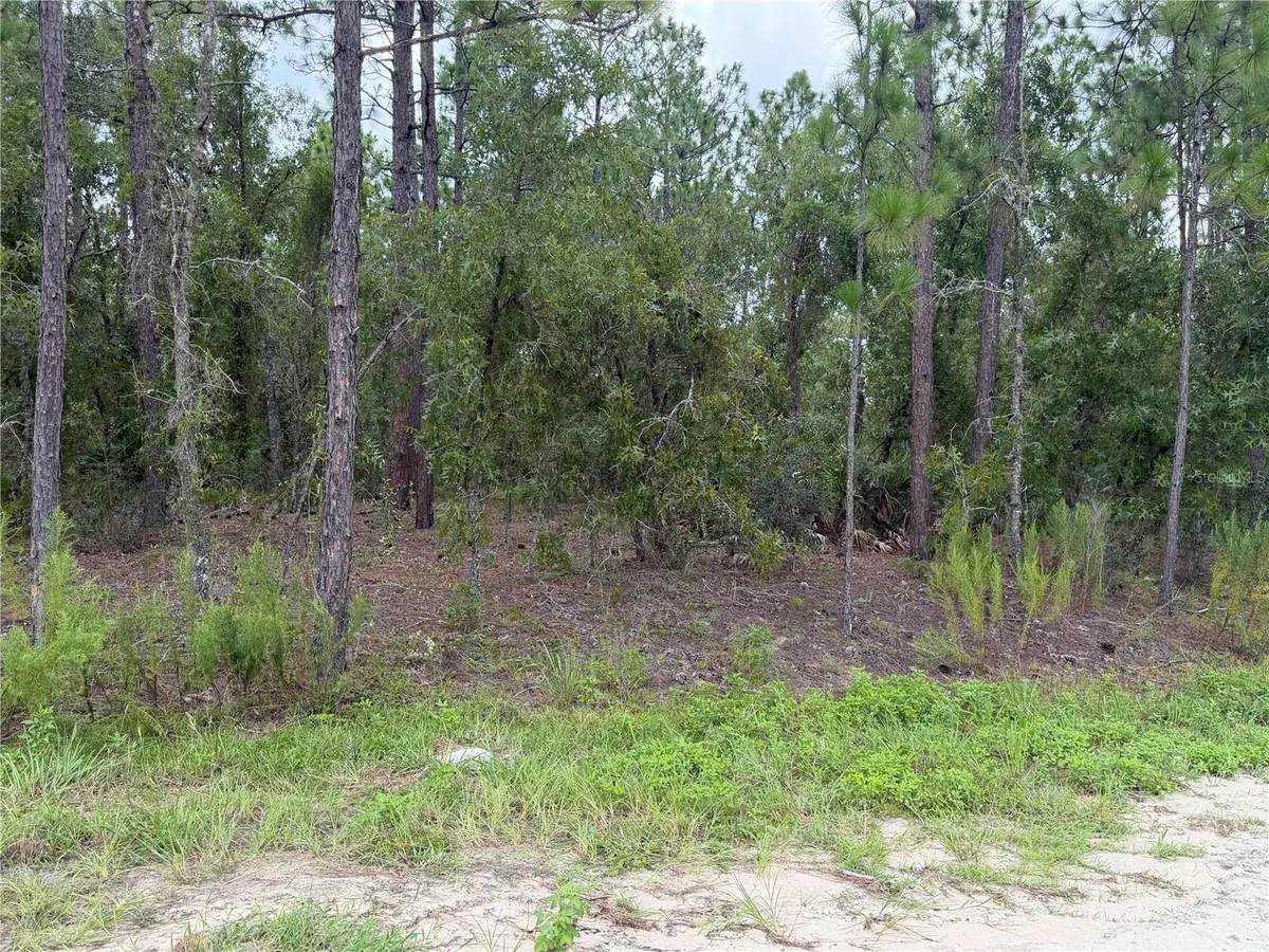00 SW 131 AVE, Ocala, FL 34481