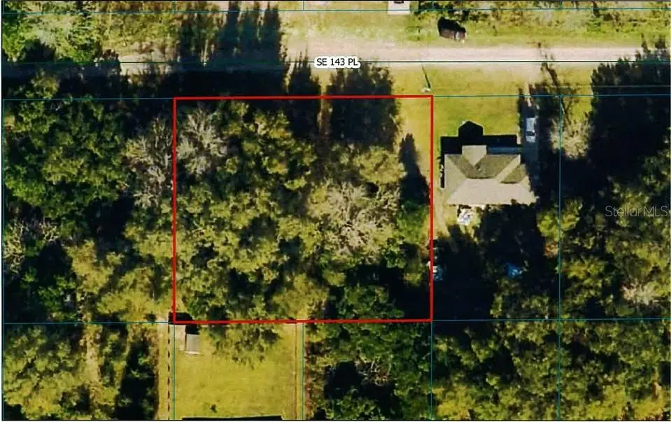 TBD SE 143RD PL, Summerfield, FL 34491