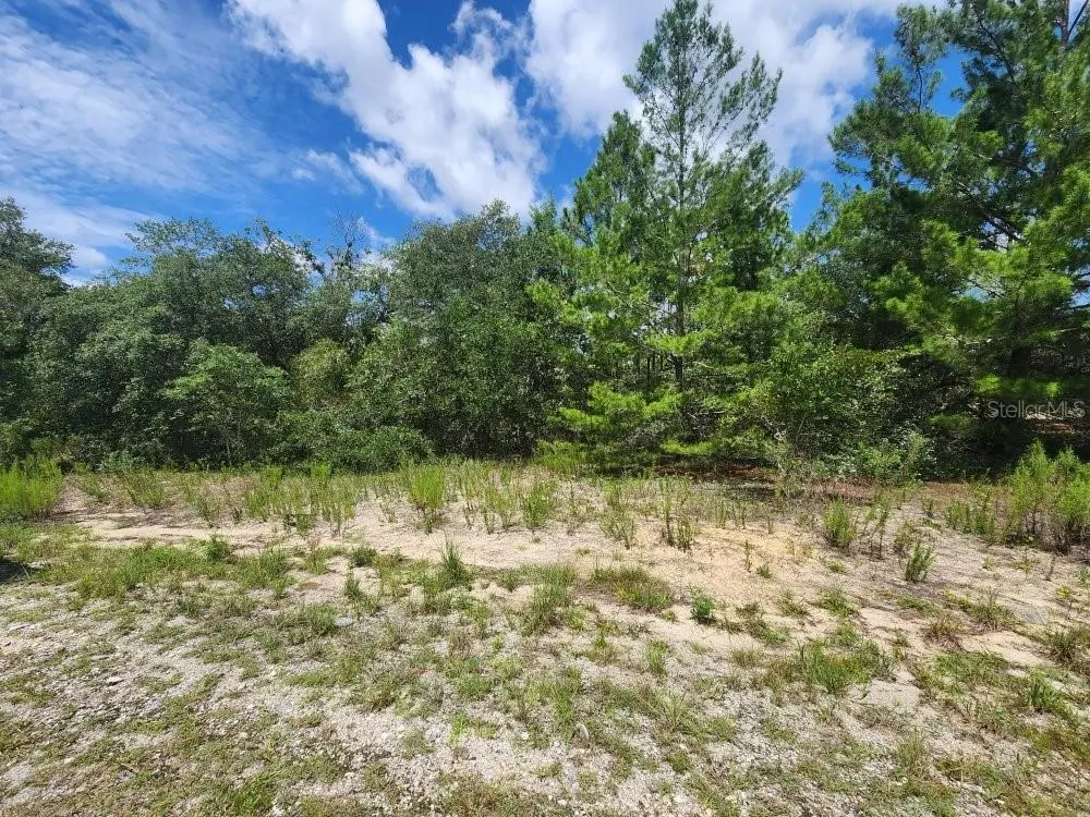 00 SW GARDENIA CT, Dunnellon, FL 34432