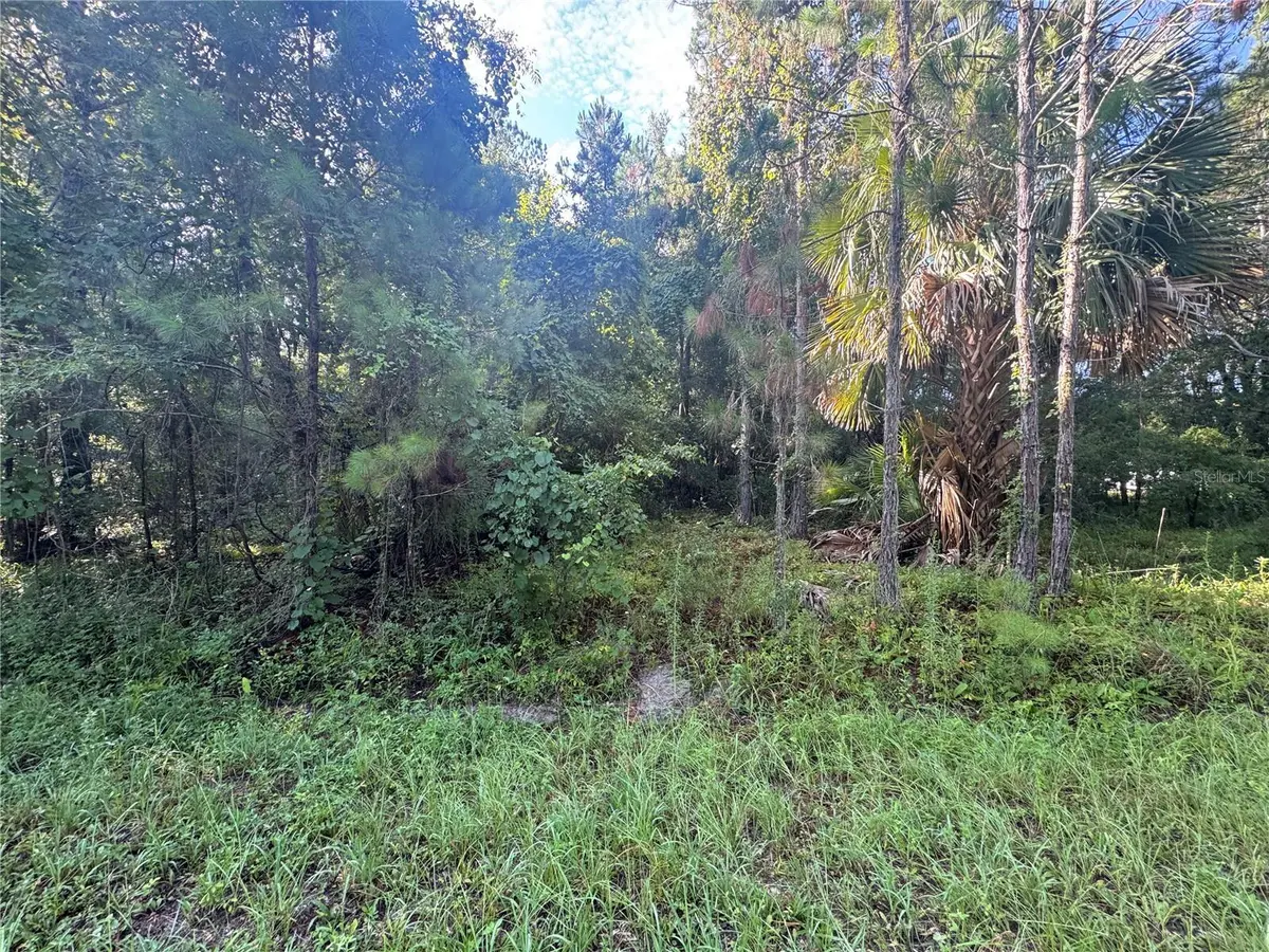 TBD SEQUOIA LOOP DR, Ocklawaha, FL 32179
