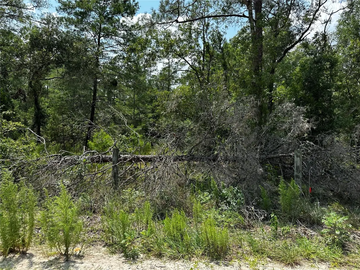 6270 NE 139TH AVE, Williston, FL 32696