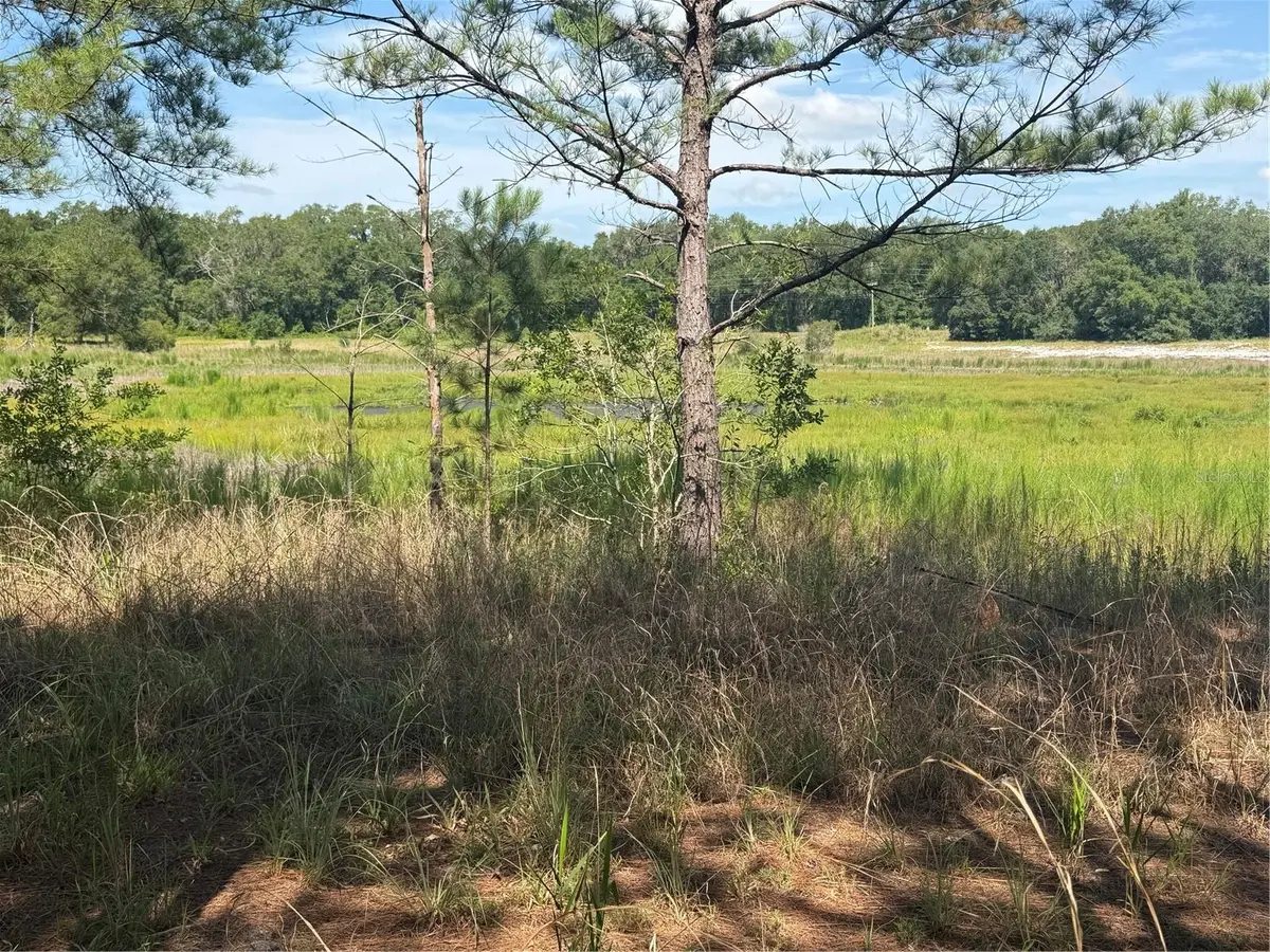 TBD GUAVA TER, Ocklawaha, FL 32179