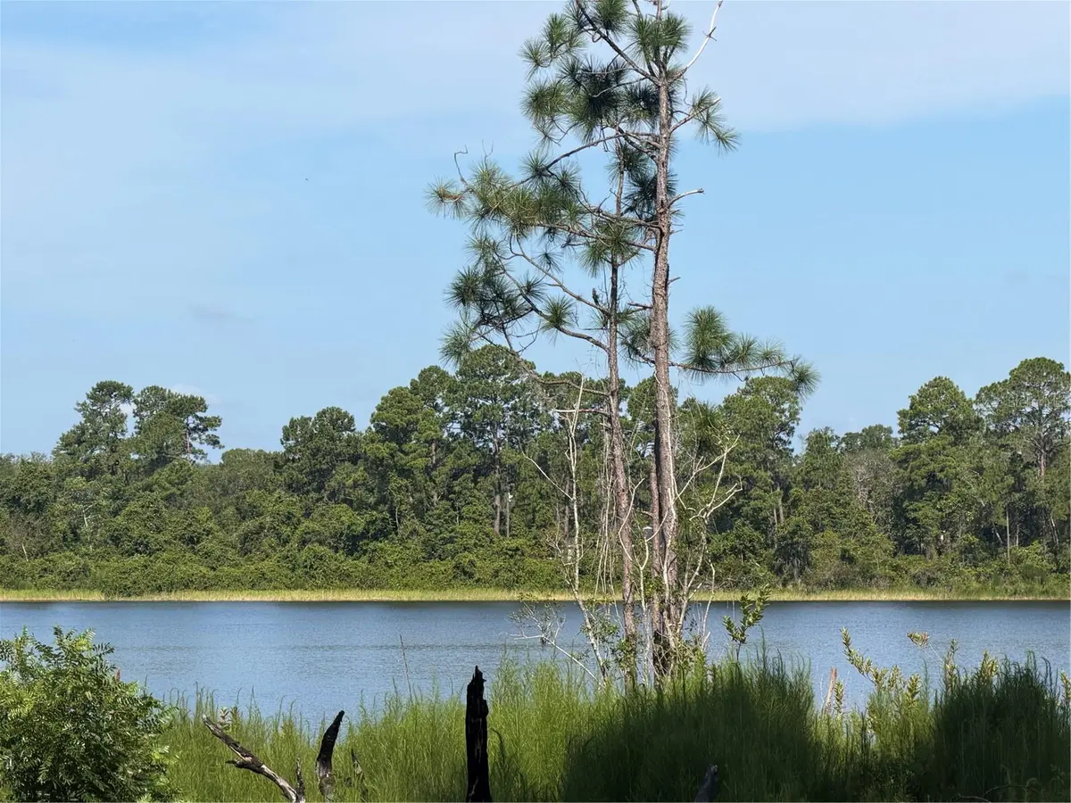 TBD MALAUKA RADL, Ocklawaha, FL 32179