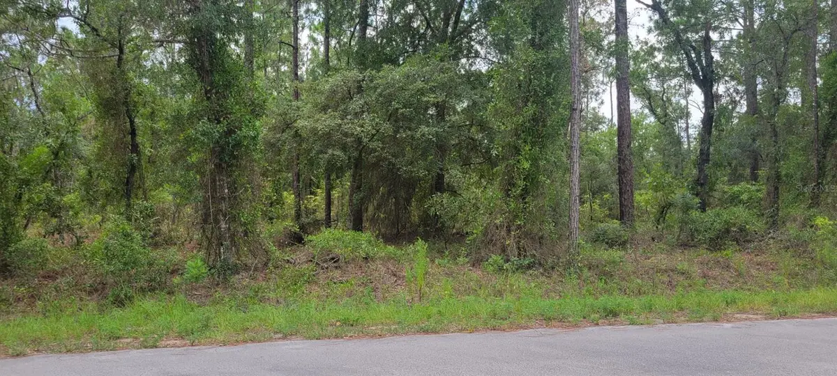 0 NW HIGHVIEW AVE, Dunnellon, FL 34431