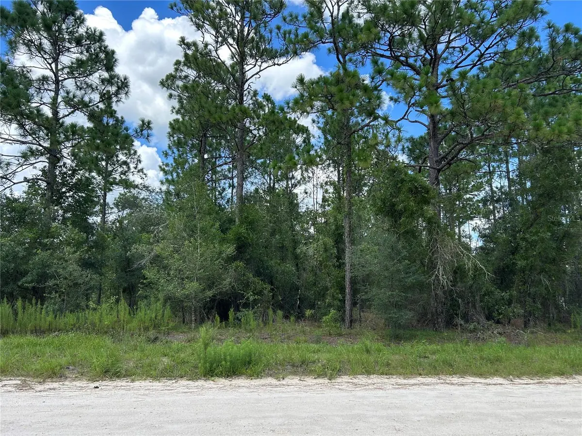 0000 SE 25TH ST, Morriston, FL 32668