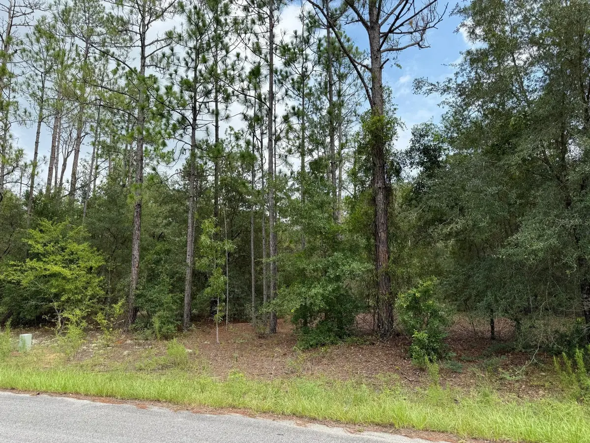 6461 N ELNORA WAY, Citrus Springs, FL 34433