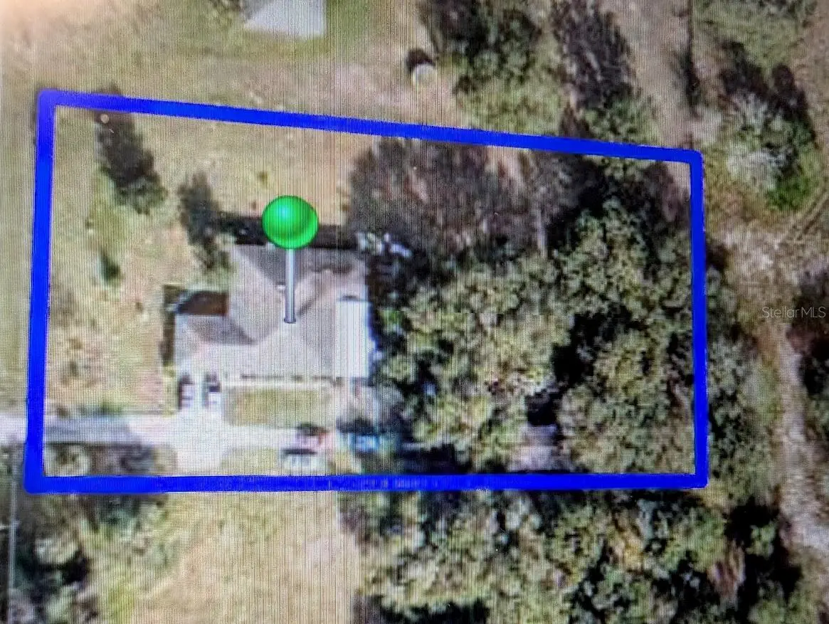 310 TOMATO HILL RD, Leesburg, FL 34748