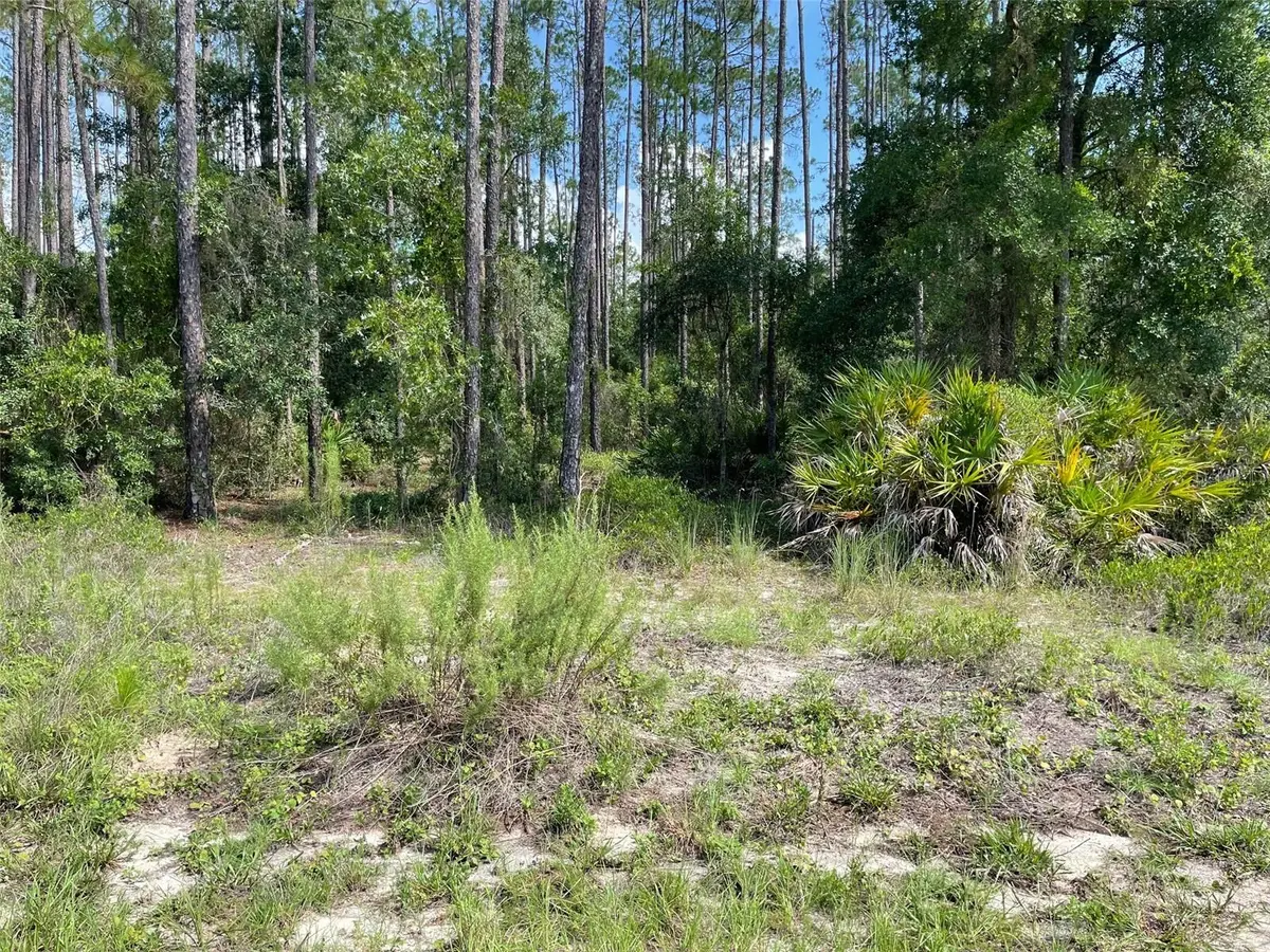LOT 23 SW TIGER LAKE BLVD W, Dunnellon, FL 34431