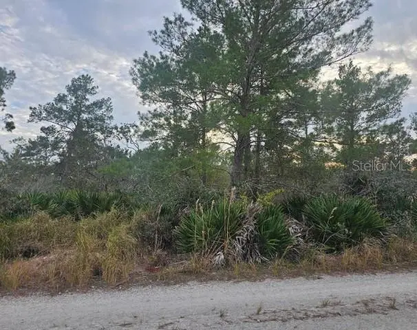 2225 ALGONQUIN DR, Sebring, FL 33875
