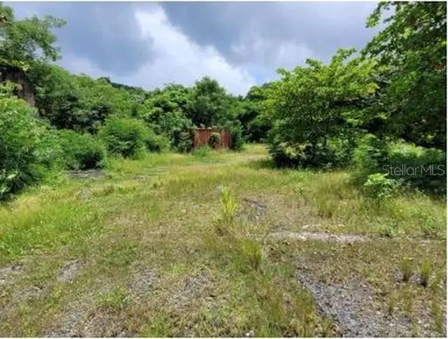 FELIPE LA VOZ RODRIGUEZ, Guaynabo, PR 00969