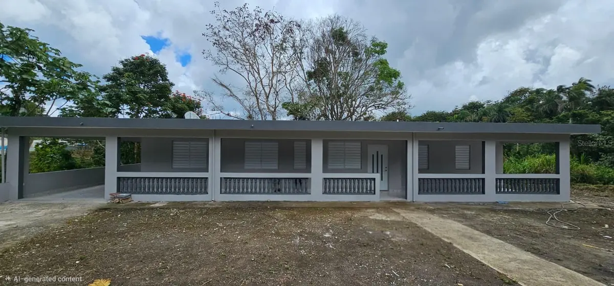 156 BO. BAYAMONCITO, Aguas Buenas, PR 00703