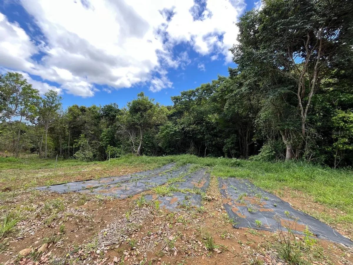 LOT 5 KM 2.5 CARRETERA 856, Carolina, PR 00987