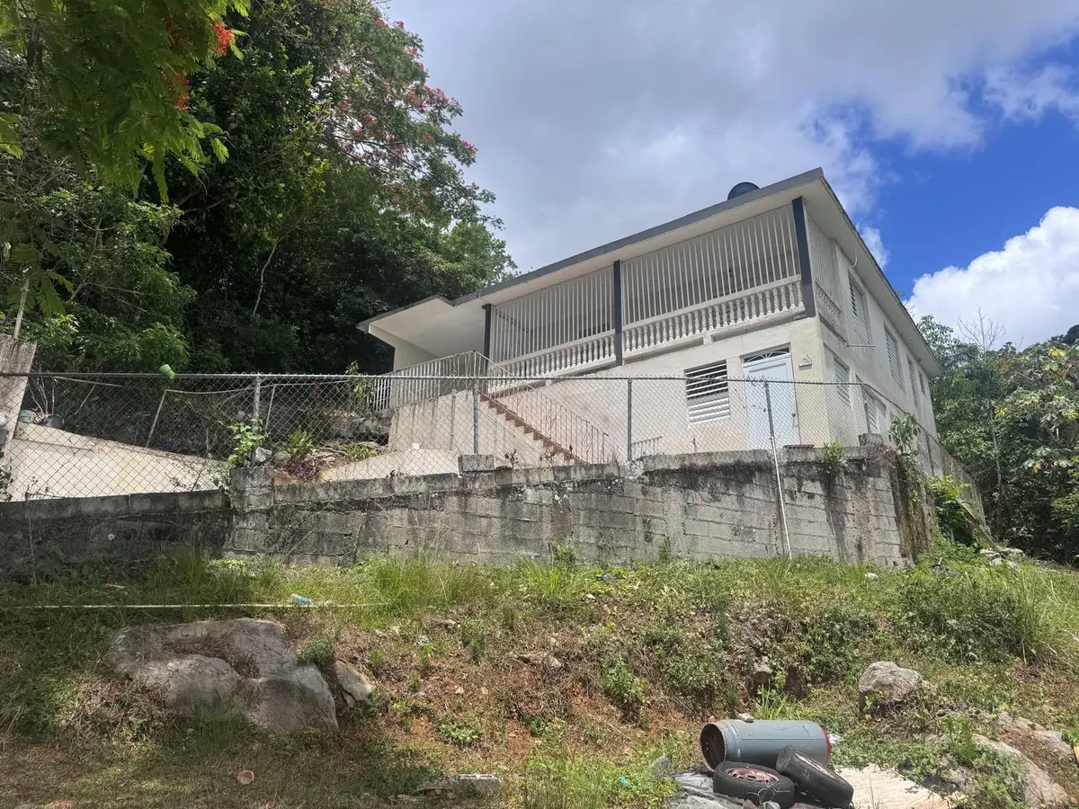 62.2 KM. CARR#1 BO PEDRO DAVILA, Cayey, PR 00736