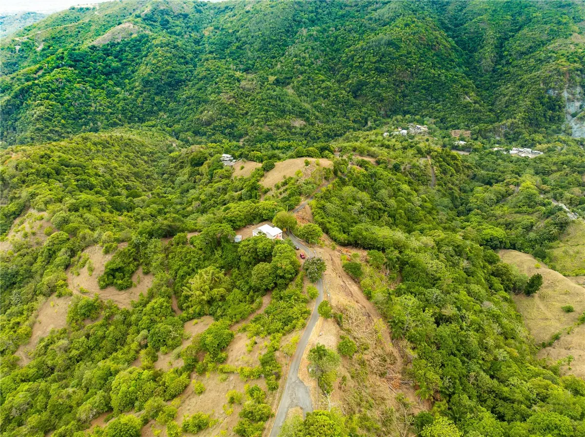 SR 365 KM 6.4 INT TABONUCO WARD, Sabana Grande, PR 00637