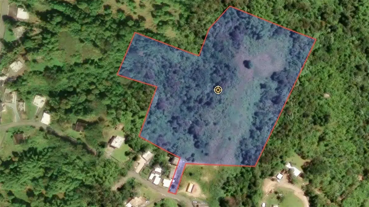 BO VALENCIANO ARRIBA CARR 919 KM 4.0, Juncos, PR 00777