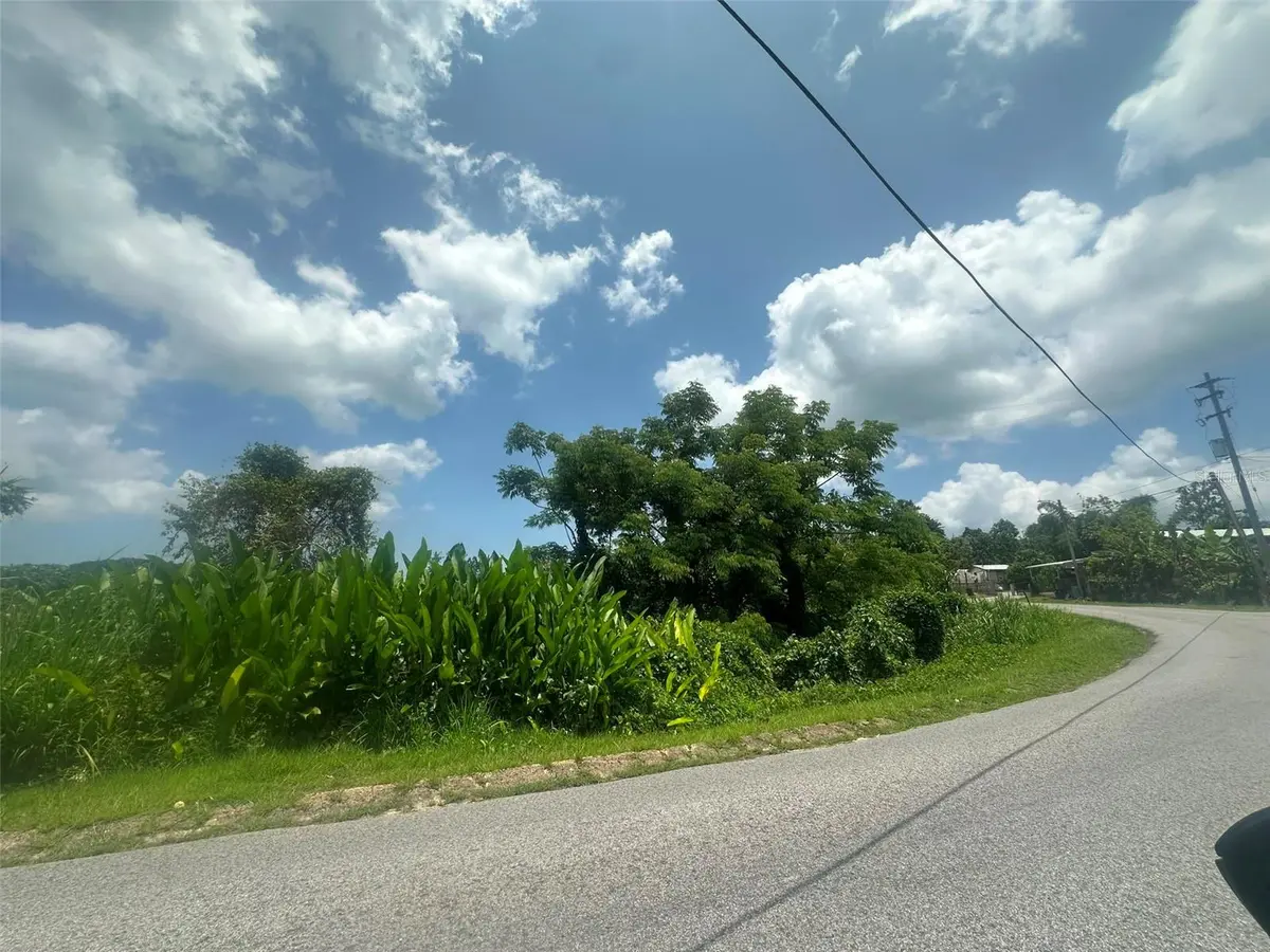 Carr. 4403 BARRIO NARANJO, Moca, PR 00676